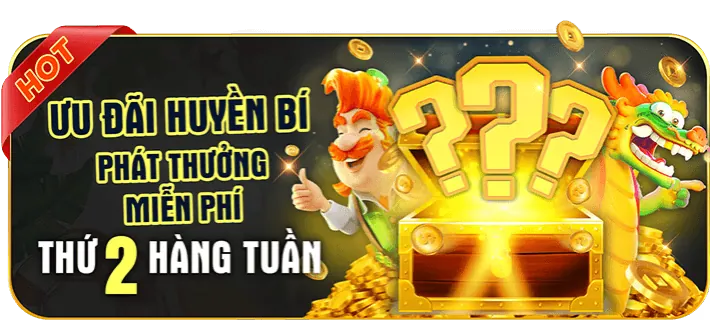 Sự kiện đặc biệt và khuyến mãi theo mùa VNQ8 Code