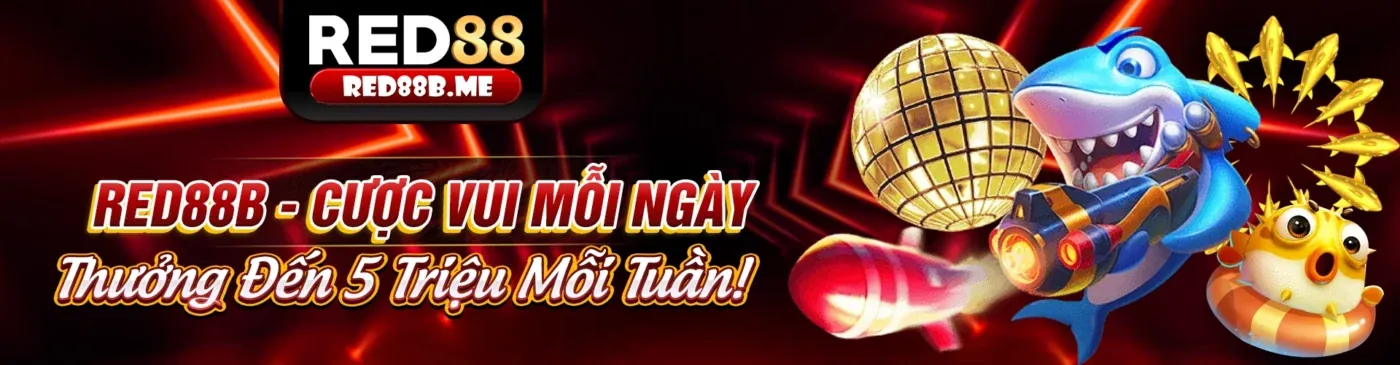 Banner kêu gọi hành động vnq8 code